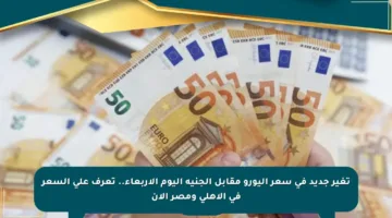 تغير جديد في سعر اليورو مقابل الجنيه اليوم الأربعاء.. تعرف على السعر في الأهلي ومصر الآن